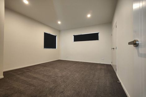 Photo of property in 3 Treeline Lane, Flat Bush, Auckland, 2019