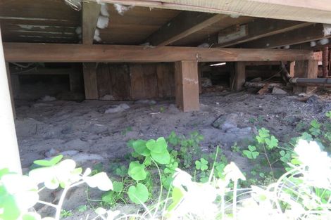 Photo of property in 33 Romilly Street, Westport, 7825