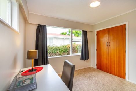 Photo of property in 20 Henare Street, West End, Palmerston North, 4412