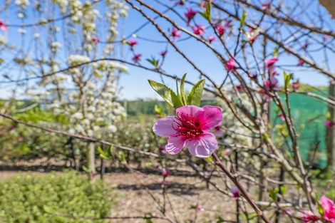 Photo of property in 56 Verdeco Boulevard, Lincoln, 7608