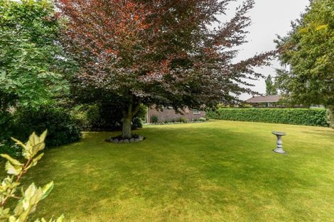 Photo of property in 23 Tramway Road, Springfield, 7681