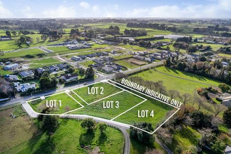 Photo of property in 48 Fairfield Road, Levin, 5510