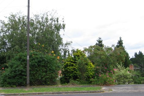 Photo of property in 9 Alanbrooke Crescent, Avondale, Auckland, 0600