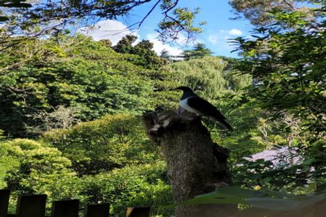 Photo of property in 2/5 Aries Place, Shelly Park, Auckland, 2014