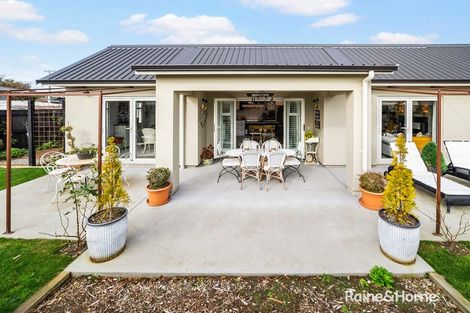 Photo of property in 52a Cologne Street, Martinborough, 5711