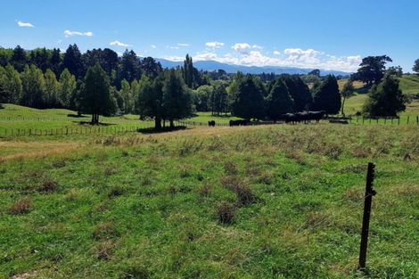 Photo of property in 227 Tipapakuku Road, Dannevirke, 4930