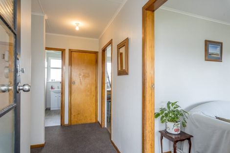 Photo of property in 60 Hinemoa Street, Levin, 5510