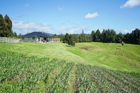 Photo of property in 1160 No 2 Road, Te Ranga, Te Puke, 3182