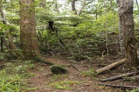 Photo of property in 27 Lett Road, Snells Beach, 0920