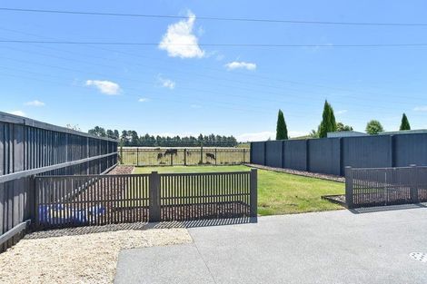 Photo of property in 8 Helmore Street, Rangiora, 7400