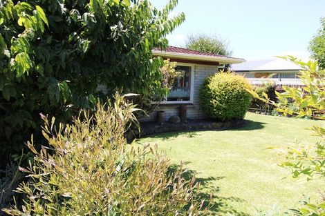 Photo of property in 46 Rawhiti Avenue, Matamata, 3400