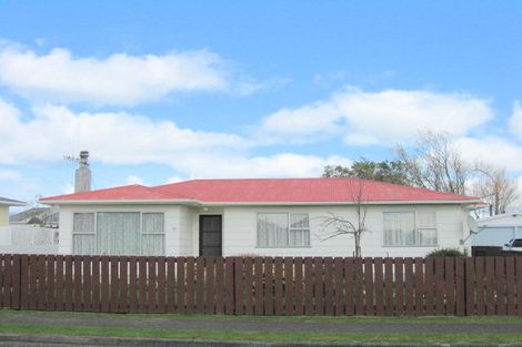 Photo of property in 71 Strathmore Avenue, Levin, 5510