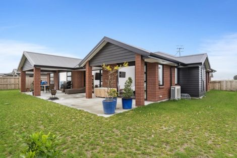 Photo of property in 62 Farrier Street, Papamoa, 3118