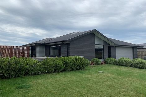 Photo of property in 24 Bonecrusher Street, Lincoln, 7608