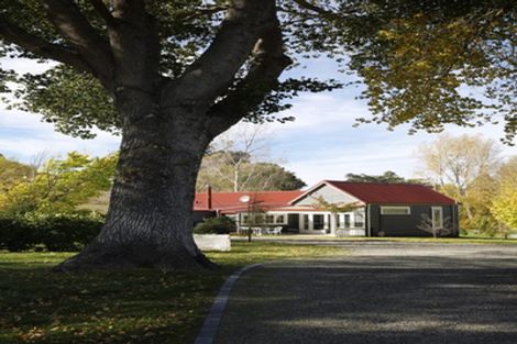 Photo of property in 4195 Masterton Castlepoint Road, Tinui, Masterton, 5889