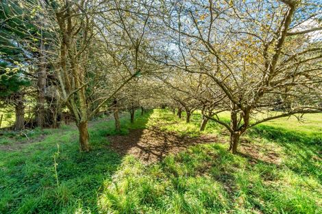 Photo of property in 417c Grays Road, Pauatahanui, Porirua, 5381
