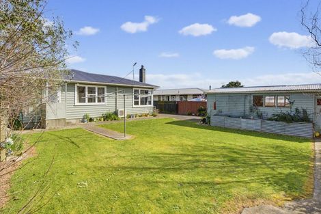 Photo of property in 12 Collingwood Street, Levin, 5510