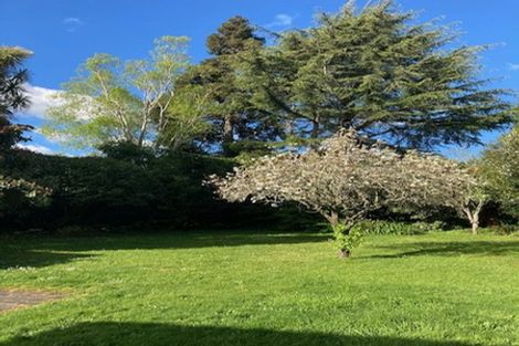 Photo of property in 24 Galloway Street, Hamilton East, Hamilton, 3216