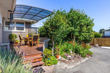 Photo of property in 1/45 Rotokawa Street, Taupo, 3330