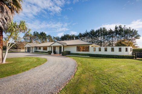 Photo of property in 408 Aranui Road, Kairanga, Palmerston North, 4475