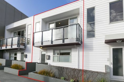 Photo of property in 201 Tasman Street, Mount Cook, Wellington, 6021