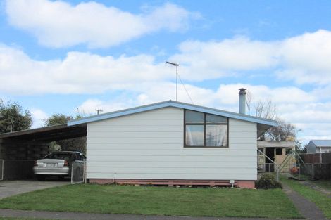 Photo of property in 63 Strathmore Avenue, Levin, 5510