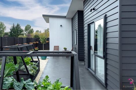 Photo of property in 6 Strawberry Place, Geraldine, 7930