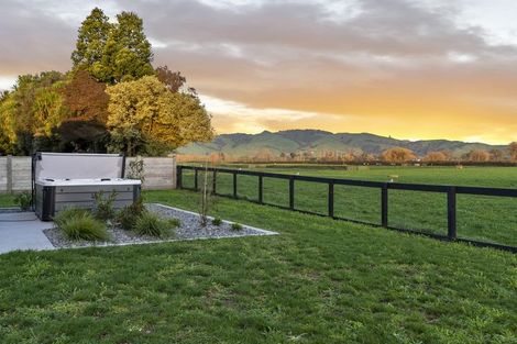 Photo of property in 30 Seachange Drive, Leamington, Cambridge, 3432