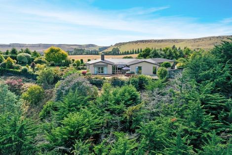 Photo of property in 98 Springhill Road, Cormacks, Oamaru, 9495