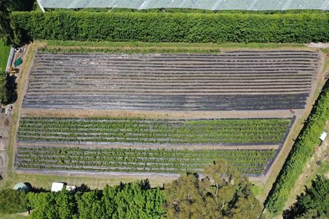 Photo of property in 1568a Old Coach Road, Pukehina, 3186