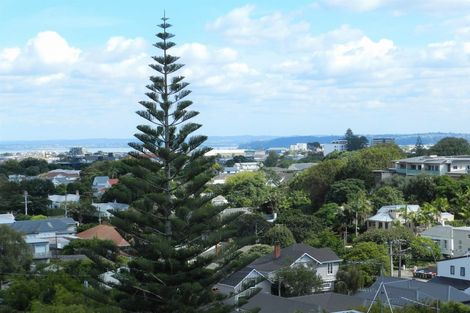 Photo of property in 28/49 Esplanade Road, Mount Eden, Auckland, 1024
