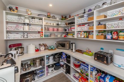 Photo of property in 1 Louis Lane, Rolleston, 7614