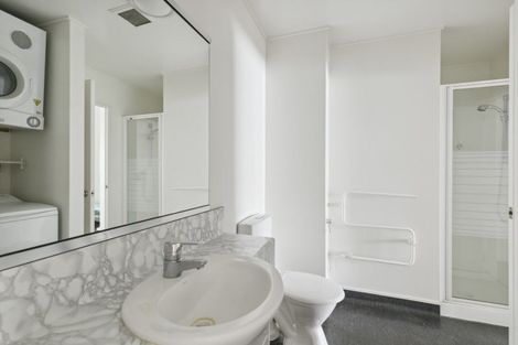 Photo of property in Dixonlane Apartments, 6/7 Feltex Lane, Te Aro, Wellington, 6011