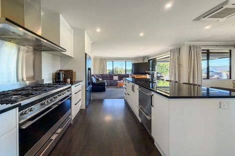 Photo of property in 33 Birchwood Avenue, Burleigh, Blenheim, 7201