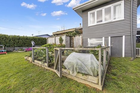 Photo of property in 23 Mcandrew Street, Kihikihi, Te Awamutu, 3800