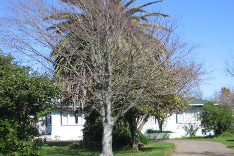 Photo of property in 10 Jenks Street, Foxton, 4814