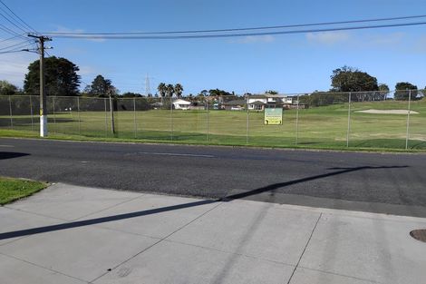 Photo of property in 38a Links Road, New Lynn, Auckland, 0600