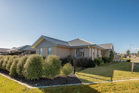 Photo of property in 10 Mustang Alley, Burleigh, Blenheim, 7201