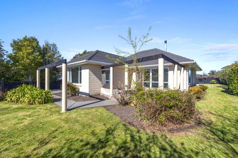 Photo of property in 19 Kinnaird Place, Hillmorton, Christchurch, 8025