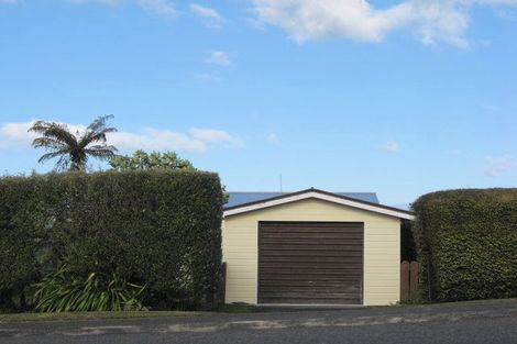 Photo of property in 173 Omori Road, Omori, Turangi, 3381