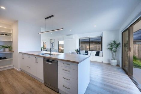 Photo of property in 8 Esher Lane, Richmond, 7020