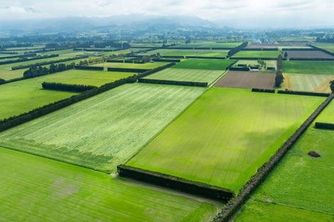 Photo of property in 609 Woodstock Road, Burnt Hill, Oxford, 7495