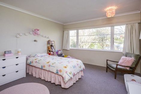 Photo of property in 395 Ruahine Street, Terrace End, Palmerston North, 4410