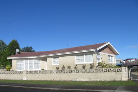 Photo of property in 117 Dundee Drive, Flaxmere, Hastings, 4120