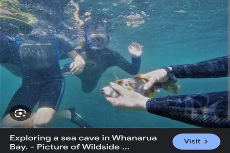 Photo of property in 8361 State Highway 35, Whanarua Bay, Opotiki, 3199