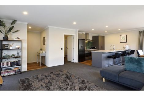 Photo of property in 22 Chertsey Street, Richmond, 7020