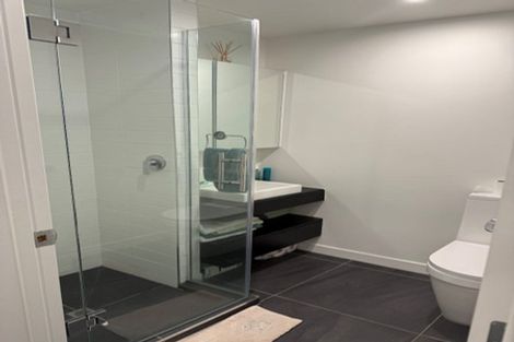 Photo of property in Pinnacle Apartments, W302/160 Victoria Street, Te Aro, Wellington, 6011