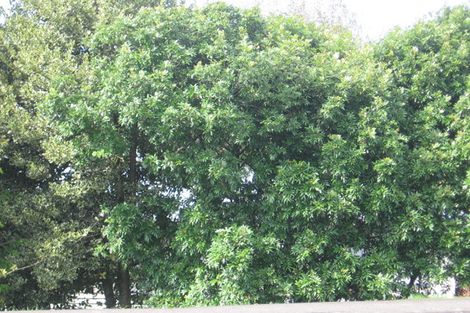 Photo of property in 30 Forest Hill Road, Henderson, Auckland, 0612