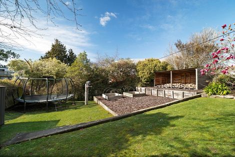 Photo of property in 215 Elgin Road, Balaclava, Dunedin, 9011