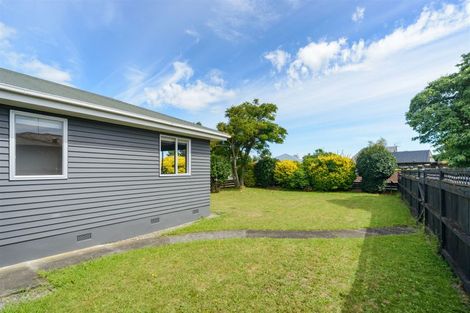 Photo of property in 42 Manson Street, Terrace End, Palmerston North, 4410